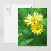 Gelbe Blumen Postkarte (Vorne/Hinten)