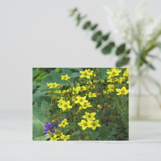gelbe Blumen Postkarte (Stehend Vorderseite)