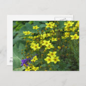 gelbe Blumen Postkarte (Vorne/Hinten)