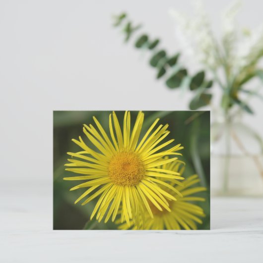 Gelbe Blumen Postkarte (Stehend Vorderseite)