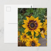Gelbe Blumen Postkarte (Vorne/Hinten)