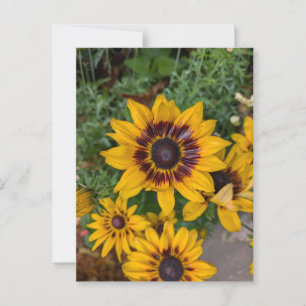 Gelbe Blumen Postkarte