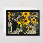 Gelbe Blumen Postkarte mit schwarzer Grenze (Vorne/Hinten)