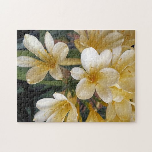 GELBE BLUMEN PUZZLE (Horizontal)