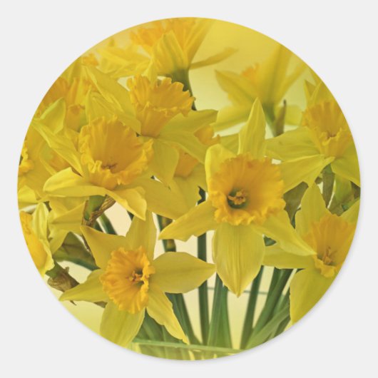 Gelbe Blumen Runder Aufkleber (Vorderseite)