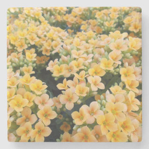 Gelbe Blumen Steinuntersetzer
