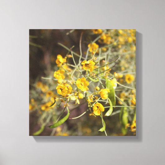 Gelbe Blumen überzogene Canvas Leinwanddruck (Vorderseite)