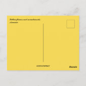 Gelbe Blumen und Bergarmenien Postkarte (Rückseite)