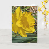 Gelbe Blumengrußkarte Karte (Gelbe Blume)
