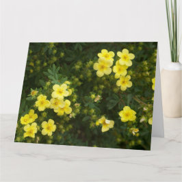 Gelbe Blumenkarte Karte
