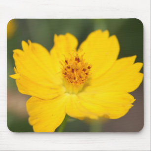 Gelbe Blumenmousepad Mousepad