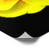 Gelbe Blüte im Frühling Poster (Ecke)