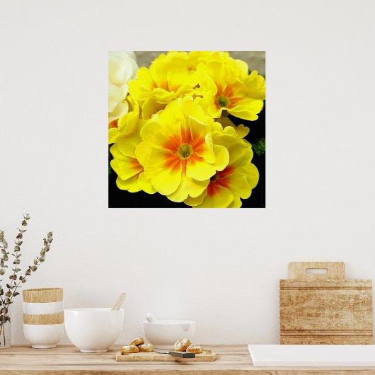 Gelbe Blüte im Frühling Poster (Küche)