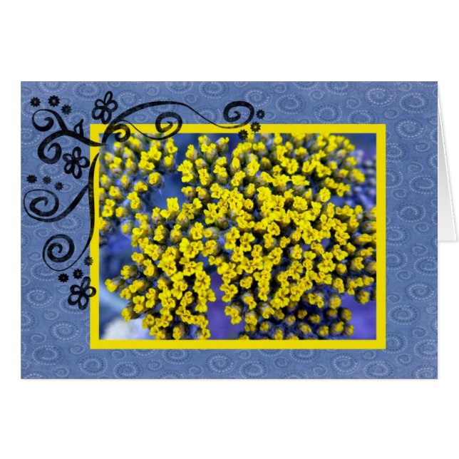 Gelbe Blüten (Vorderseite (Horizontal))