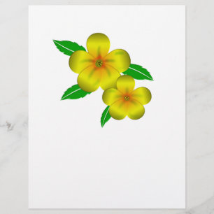 Gelbe Blüten aus Damiana Flyer