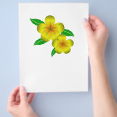 Gelbe Blüten aus Damiana Flyer (Hand)