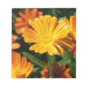Gelbe Blüten Blume Kunst Liebe Schicksal Notizblock