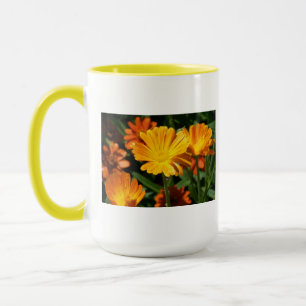 Gelbe Blüten Blume Kunst Liebe Schicksal Tasse