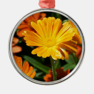 Gelbe Blüten Blumen Kunst Frieden Liebe Schicksal Silbernes Ornament