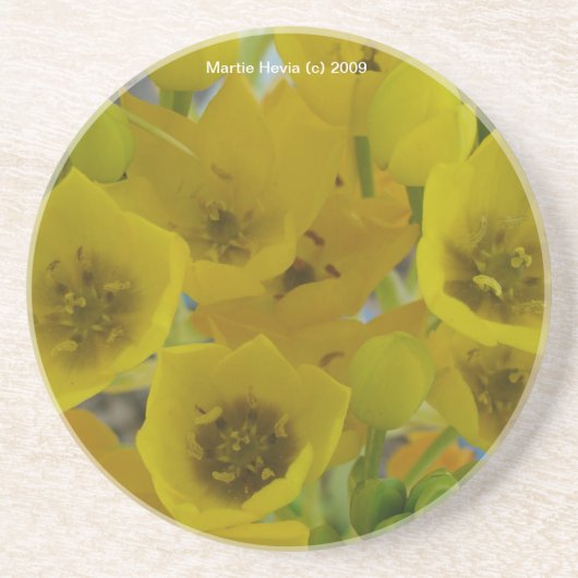 Gelbe Blüten - Untersetzer (Vorne)