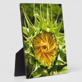 Gelbe Blütenblume Fotoplatte (Seite)