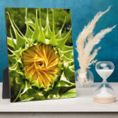 Gelbe Blütenblume Fotoplatte (Seite)