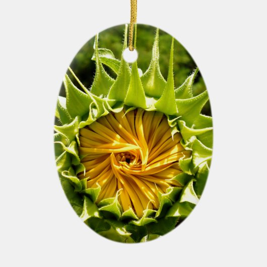 Gelbe Blütenblume Keramikornament (Vorne)