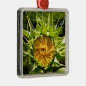 Gelbe Blütenblume Silbernes Ornament (Rechts)