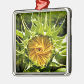 Gelbe Blütenblume Silbernes Ornament (Links)