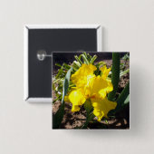 Gelbe blutende Iris-Pflanze, Button (Vorne & Hinten)