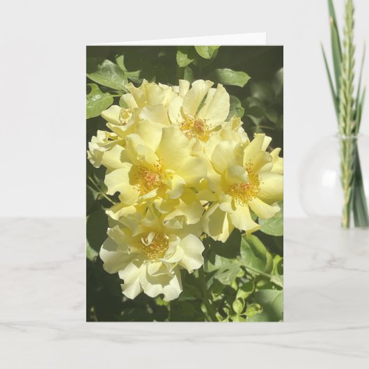 Gelbe botanische Blume Karte (Vorderseite)