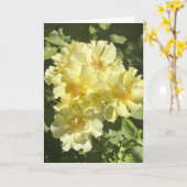 Gelbe botanische Blume Karte (Gelbe Blume)