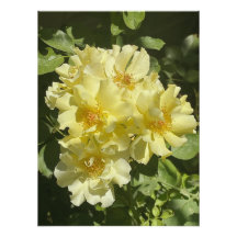 Gelbe botanische Blume