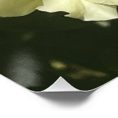 Gelbe botanische Blume Poster (Ecke)