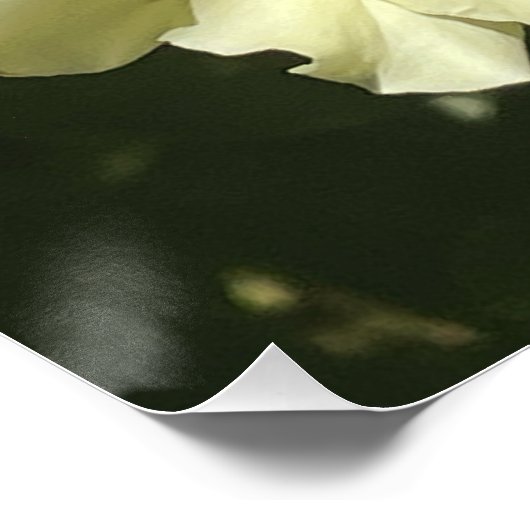 Gelbe botanische Blume Poster (Ecke)