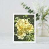 Gelbe botanische Blume Postkarte (Stehend Vorderseite)
