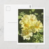 Gelbe botanische Blume Postkarte (Vorne/Hinten)