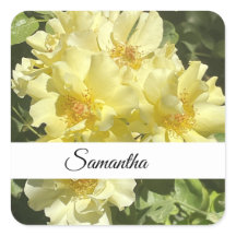 Gelbe Botanische Blumen