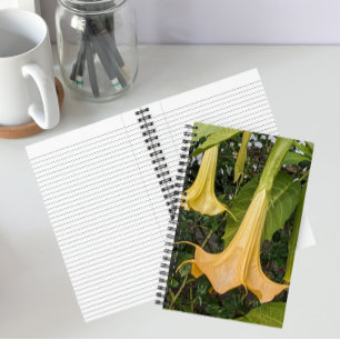 Gelbe Brugmansia-Blüte Floral Notizblock
