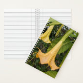 Gelbe Brugmansie Bloom Floral Notizblock (Innen)