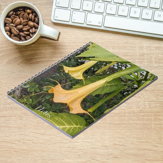 Gelbe Brugmansie Bloom Floral Notizblock