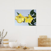 Gelbe Brugmansie - Engels Trumpet-Blume Poster (Küche)