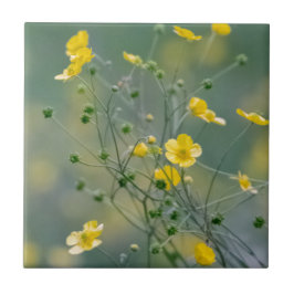 Gelbe Butterblumeen Fliese