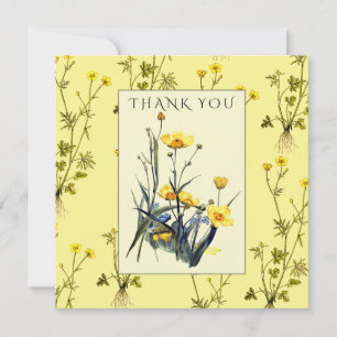 Gelbe Butterblumen Land Wildblumen Floral Dankeskarte