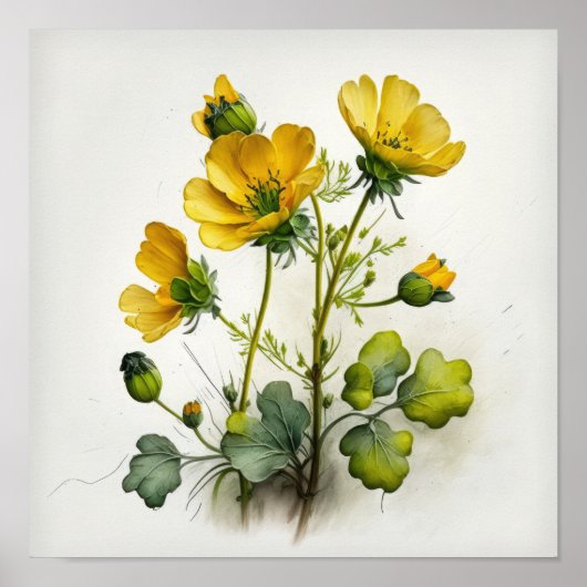 Gelbe Buttercups Blume Art Print Poster (Vorne)
