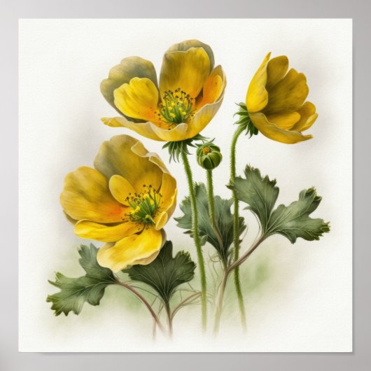 Gelbe Buttercups Blume Art Print Poster (Vorne)