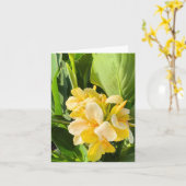 Gelbe Canna Lily in einem Gartenfoto Karte (Gelbe Blume)