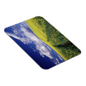 Gelbe Canola in Whitman Landkreis Washington Staat Magnet (Rechte Seite)