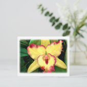 Gelbe Cattleya Orchid mit roter Ruffel Postkarte (Stehend Vorderseite)