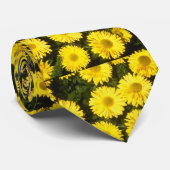 gelbe Chrysantheme "Gordon Taylor" (Florist Chry Krawatte (Gerollt)